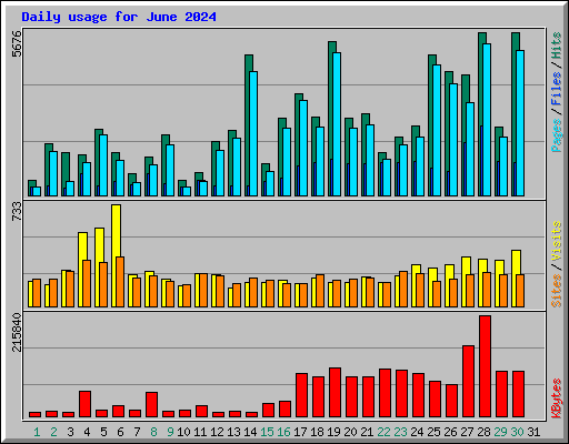 Daily usage for June 2024