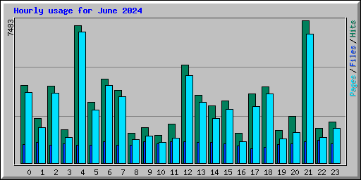 Hourly usage for June 2024