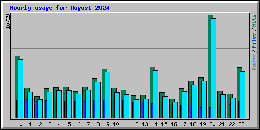 Hourly usage for August 2024