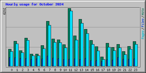 Hourly usage for October 2024