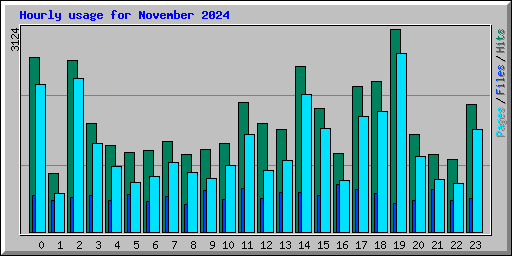 Hourly usage for November 2024