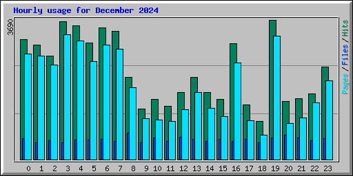 Hourly usage for December 2024