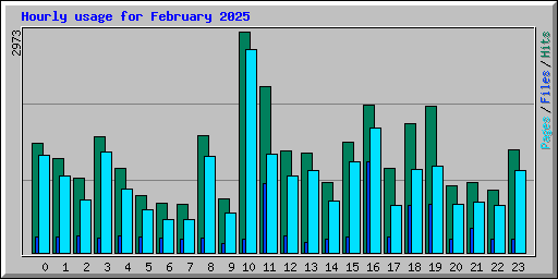 Hourly usage for February 2025